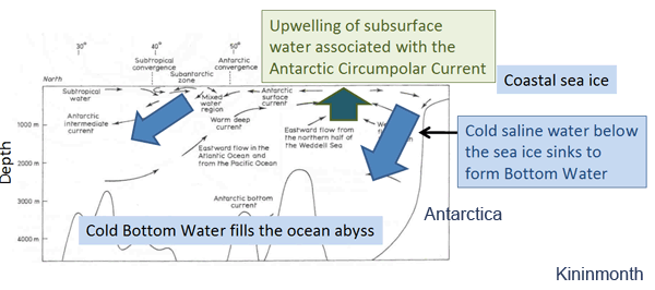 IMAGE: Deep Ocean Abyss with cold bottom water