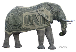 Climate Money elephant