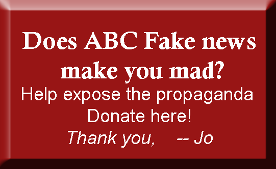 Does ABC Fake News Make you Mad? Help expose the propaganda, donate here. Thanks. 