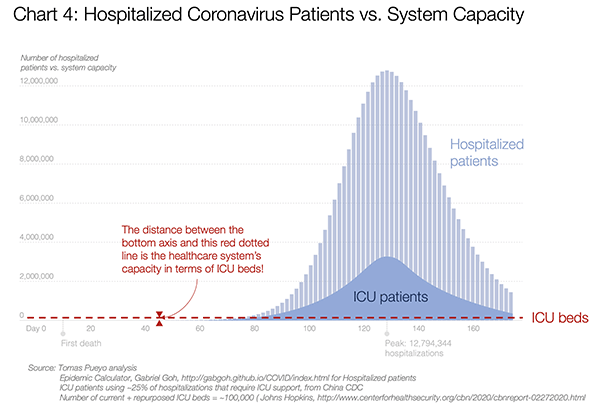 ICE Beds, capacity, Coronavirus