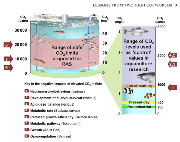 Aquaculture, graphic, CO2 atmospheric levels, effect on marine life.